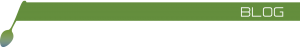 Blog Banner