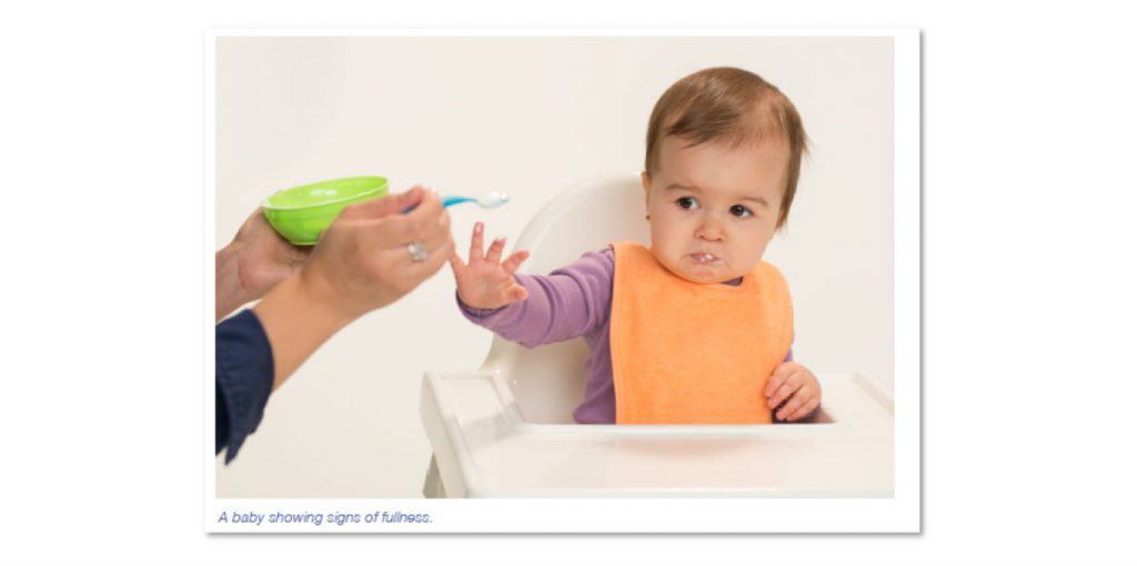 New usda infant feeding guide my food program