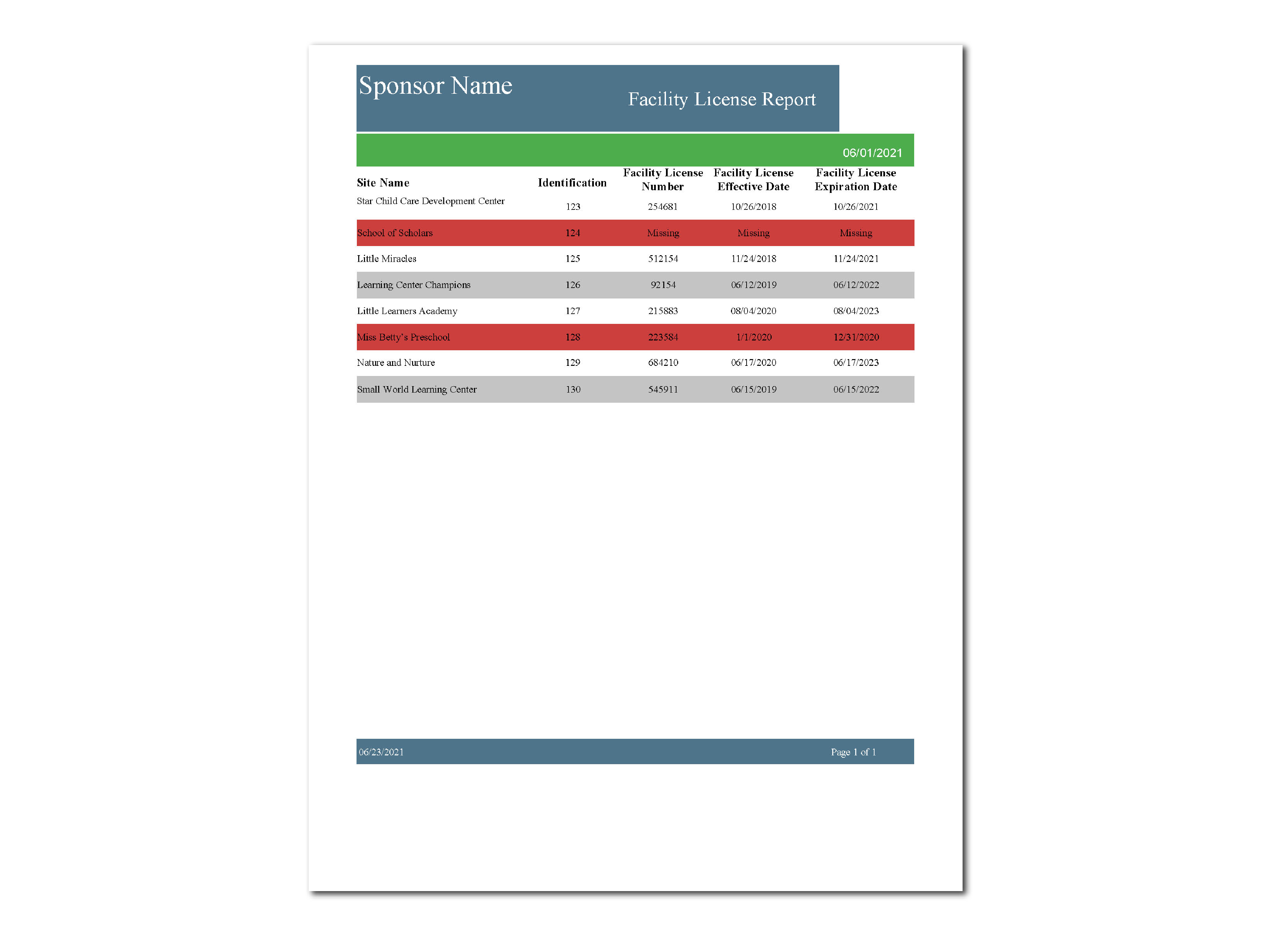 Facility License Report