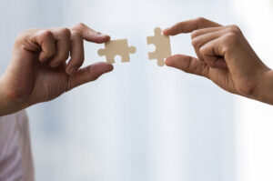 Strategic Partner Program