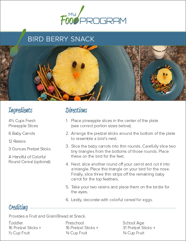 My Food Program Bird Berry Snack Recipe