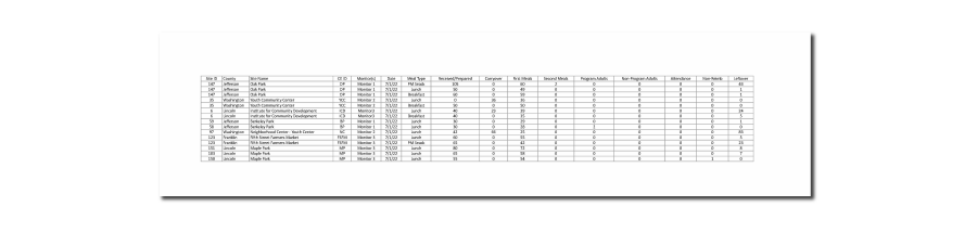 Meal Counts by Meal Type Spreadsheet