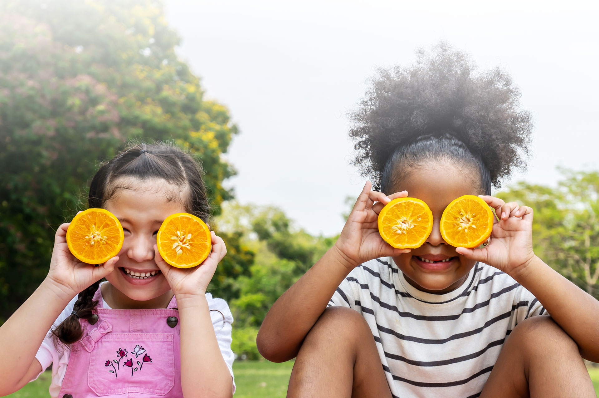 Summer Food Service Program