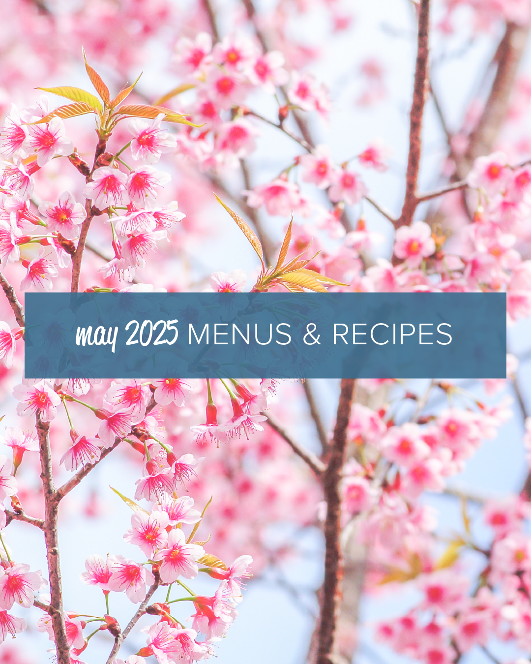 May 2025 Menus & Recipes Image