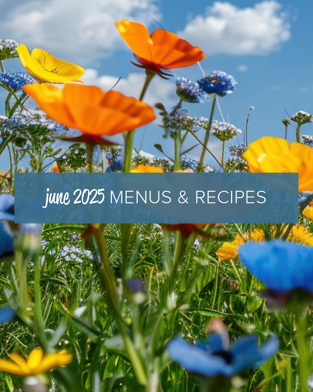 June 2025 Menus & Recipes Image