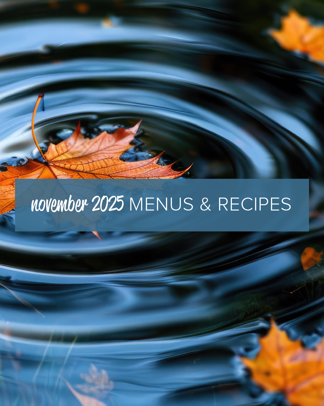 November 2025 Menus & Recipes Image