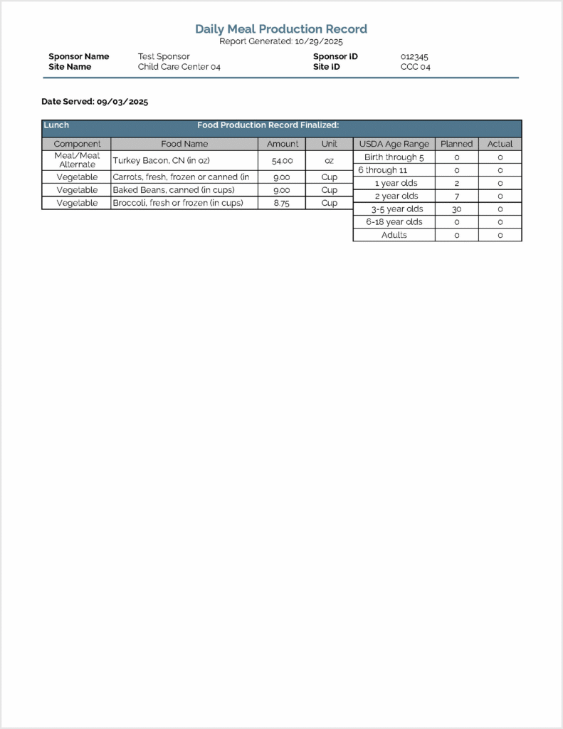 Daily Meal Production Report Sample